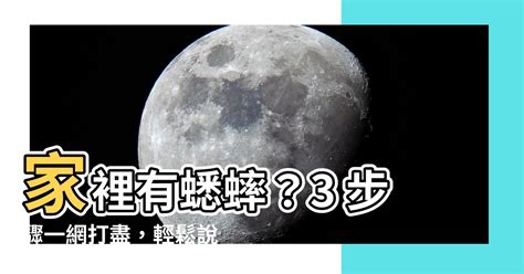 家裡有蟋蟀|【房間有蟋蟀】房間有蟋蟀？驚！可能是這5大原因造成的，教你3。